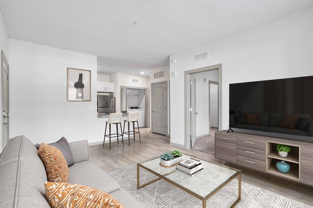 A living room with a grey couch, a coffee table, and a television.