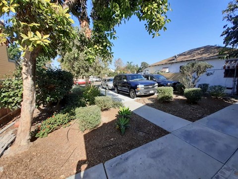 A residential area with a tree, a car and a house.