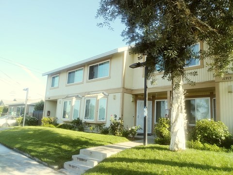 A modern house with a tree in front.