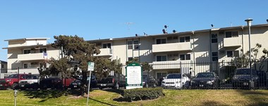 1030 Brittania St 1 Bed Apartment for Rent