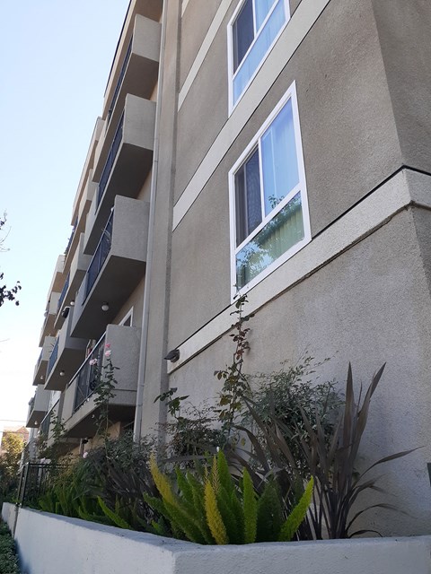 the building where the apartment is located