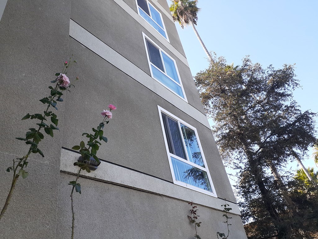 a building with two windows and some pink roses