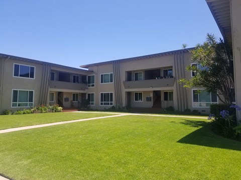 A sunny day at the courtyard of a beige building with green grass.