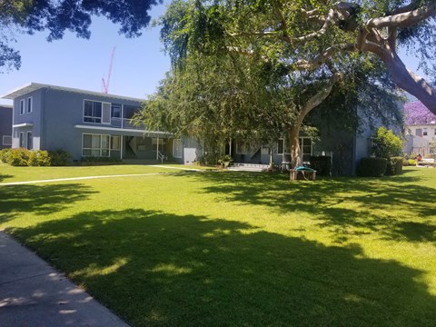 A house with a green lawn and a tree in front.