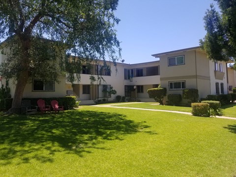 A tree in front of a building with a lawn in the foreground.