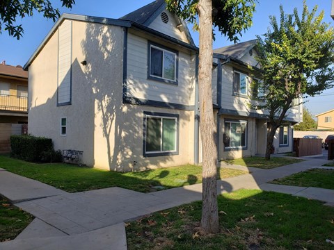 A tree stands in front of a two-story house.