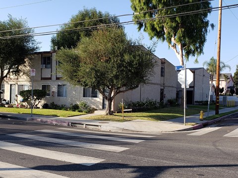 A street view with a crosswalk and a no parking sign.