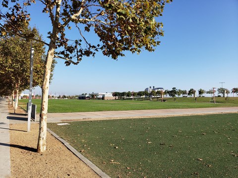 A park with a grassy area and trees.