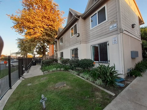 A beige house with a black fence and a tree with yellow leaves.