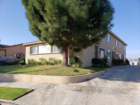 A tree in front of a house.