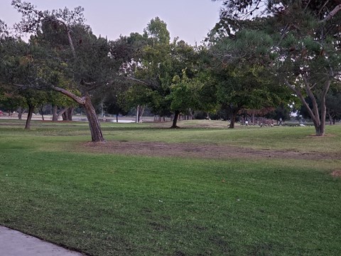 A park with a grassy area and trees.
