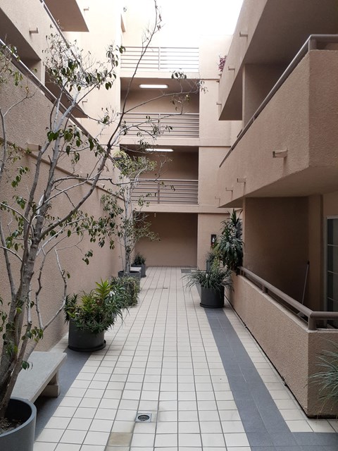 an empty corridor in an apartment building with potted plants