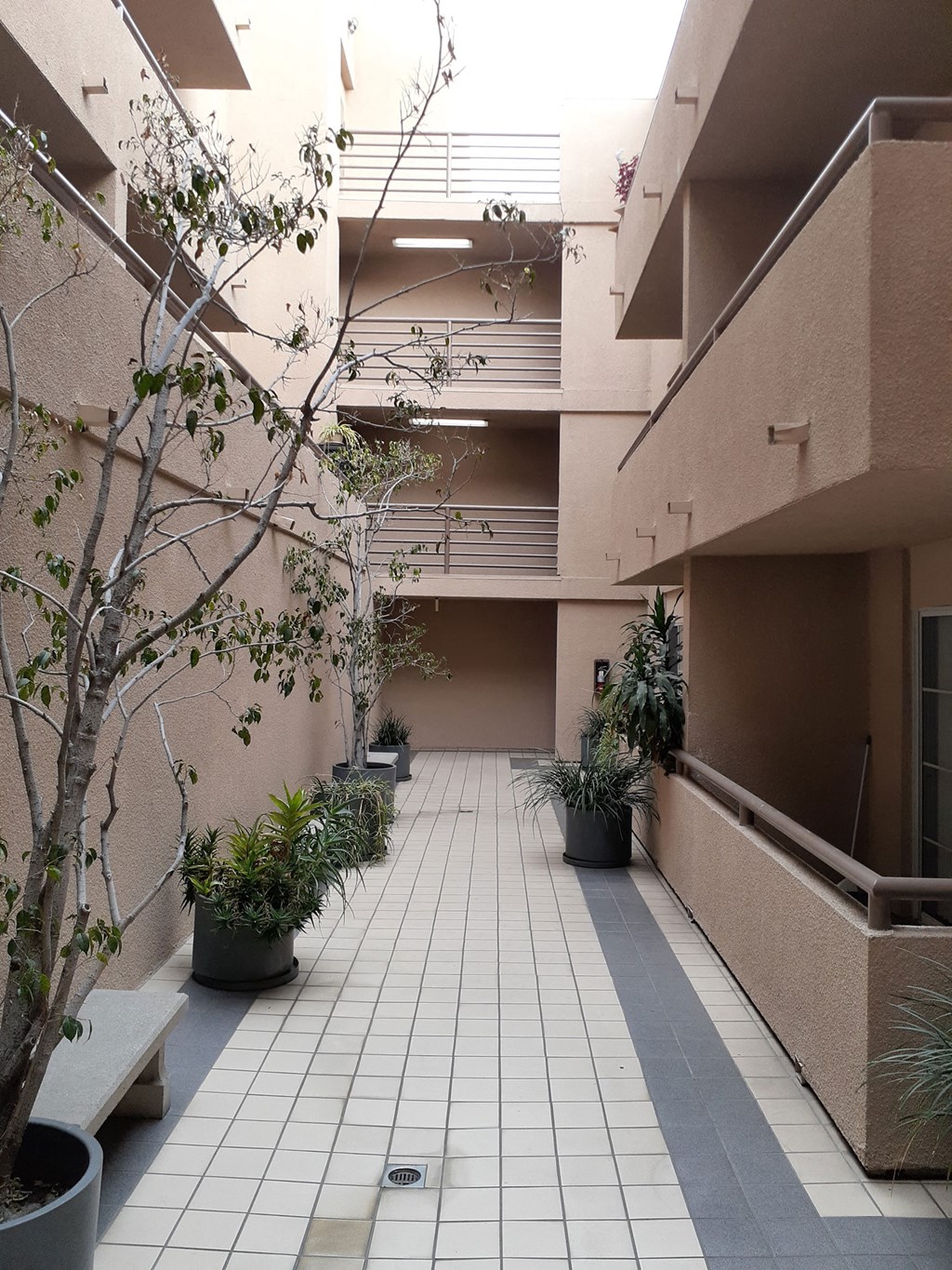 an empty corridor in an apartment building with potted plants