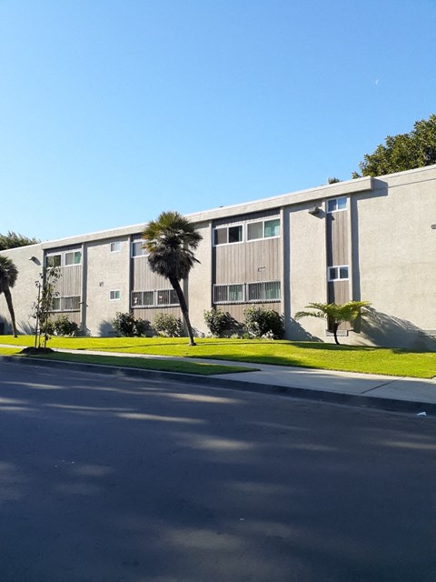 a building with palm trees in front of it