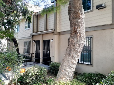 A tree is in front of a house.