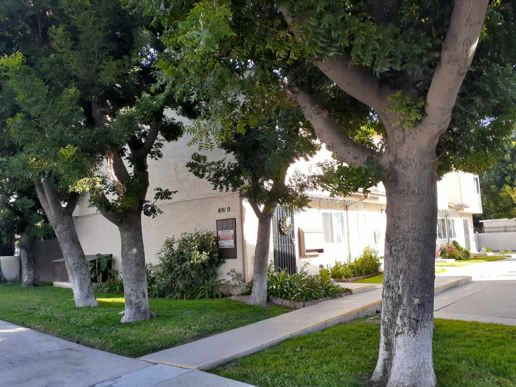 A tree in front of a house number 660.