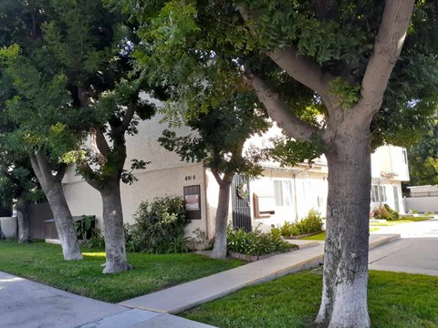 A tree in front of a house number 660.