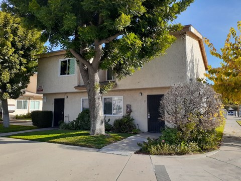 A house with a tree in front of it.