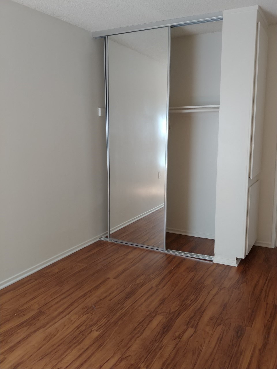 a bedroom with a wood floor and a closet