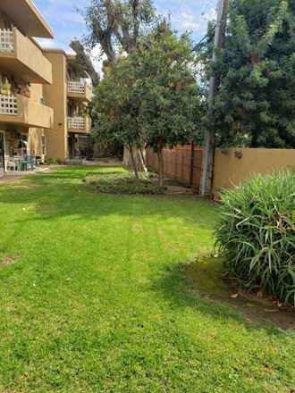a yard with grass and a tree in front of an apartment building