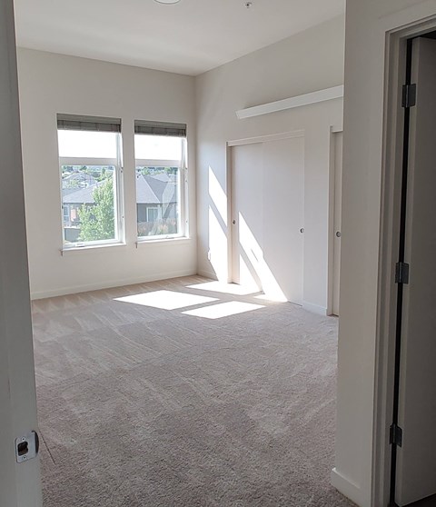 a bedroom with two windows and a door