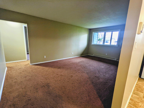 an empty living room with a window and carpet