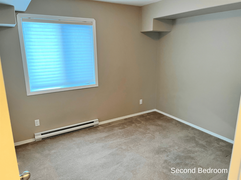 a empty room with a window and a carpet