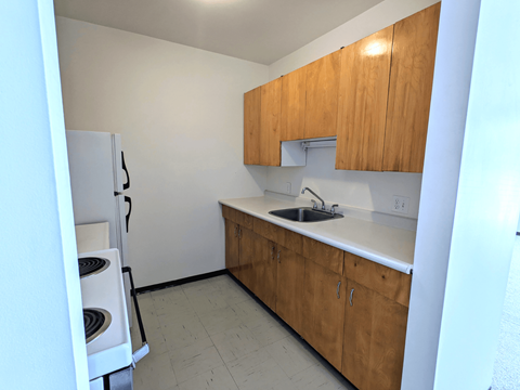 a kitchen with wooden cabinets and a sink and a refrigerator