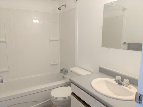 a bathroom with a sink toilet and bath tub