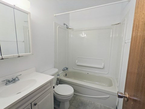 a bathroom with a toilet and a tub and a sink