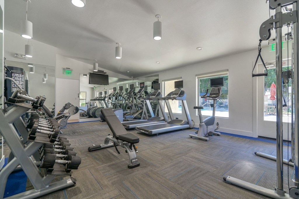 A gym with a variety of equipment including treadmills, weights, and exercise machines.