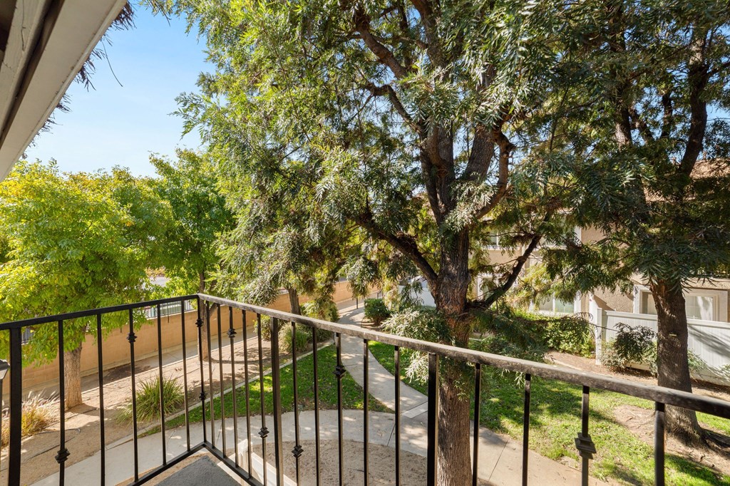 A balcony with a metal railing and a tree in the background.