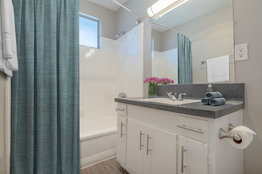 a bathroom with a shower and a sink and a mirror