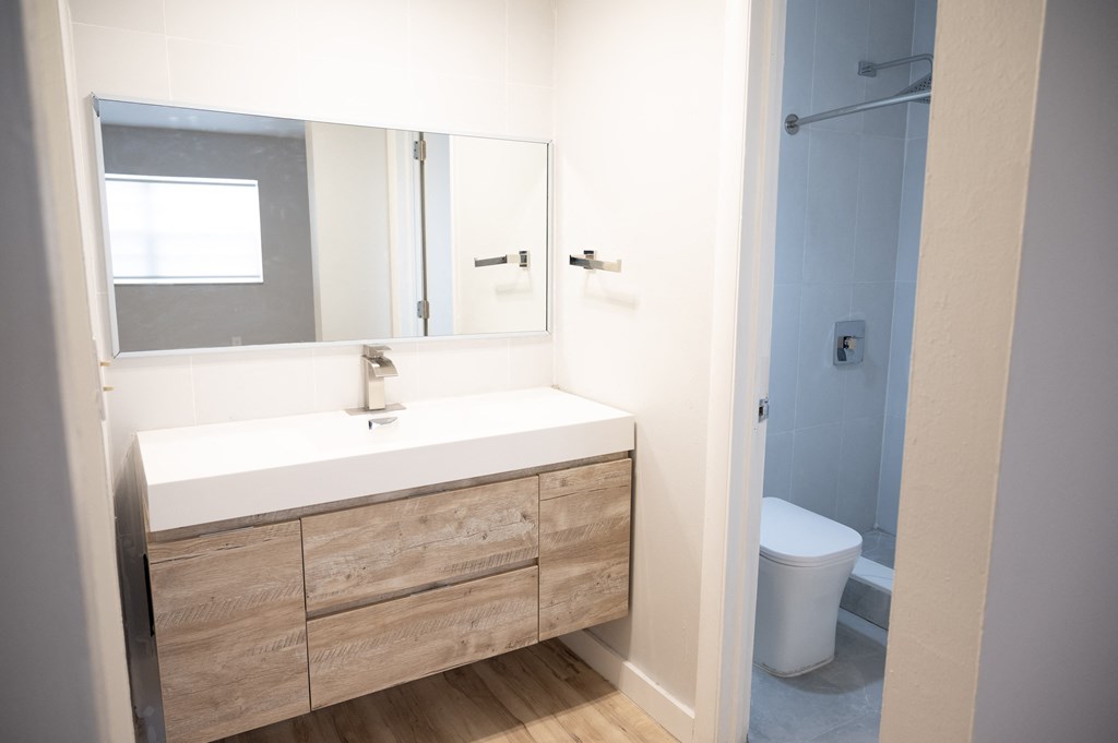 a bathroom with a sink and a mirror and a toilet