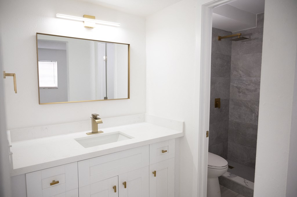 a bathroom with a sink and a mirror and a shower