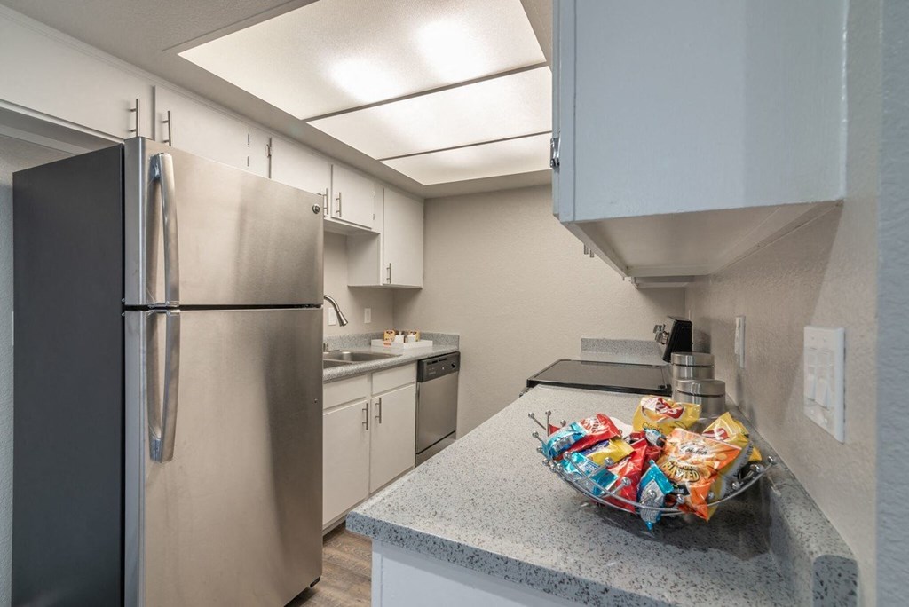A kitchen with a black refrigerator and a granite countertop.