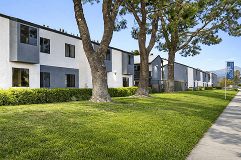 A row of modern houses with trees in front.