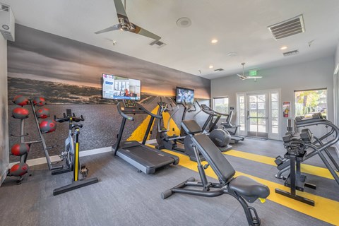 a gym with treadmills and weights and a tv