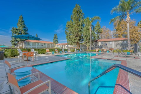 the swimming pool at the apartments for rent