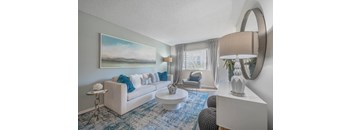 a living room with a white couch and a blue rug