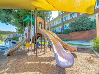 jungle gym - Photo Gallery 2