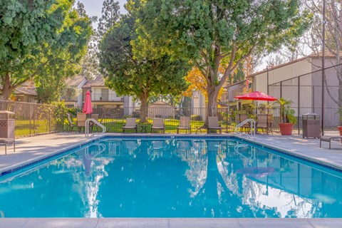 A swimming pool surrounded by trees and chairs.
