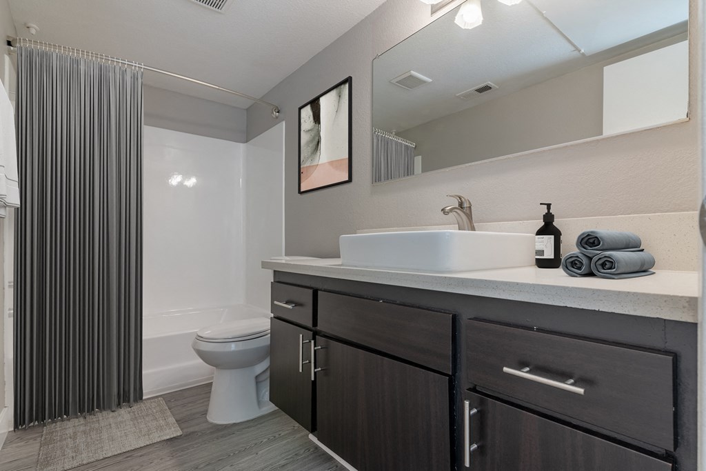 a bathroom with a sink and a toilet and a shower