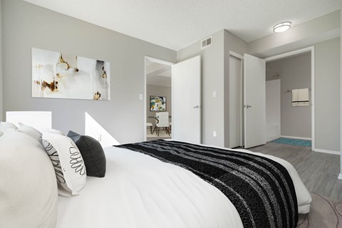 a bedroom with a large bed and a closet