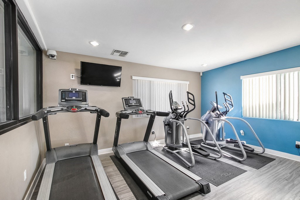 two treadmills and a tv in a gym room