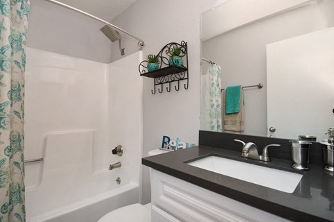 a bathroom with a sink and a shower and a mirror