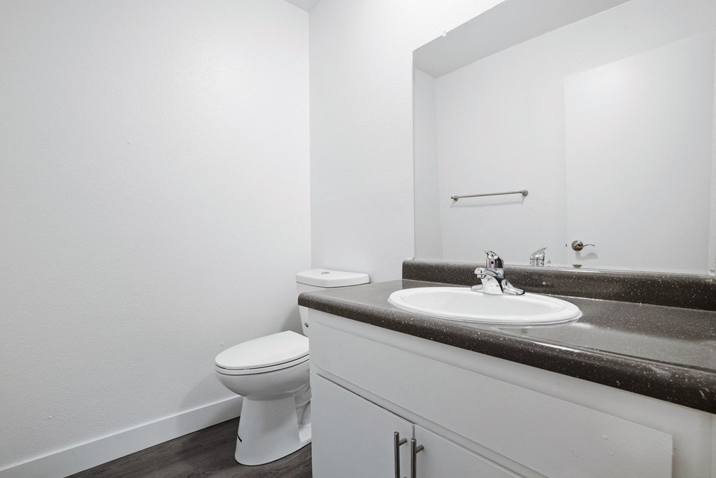 a bathroom with a sink and a toilet and a mirror