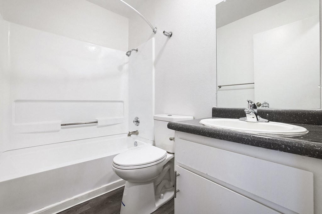 a bathroom with a sink and a toilet and a bath tub