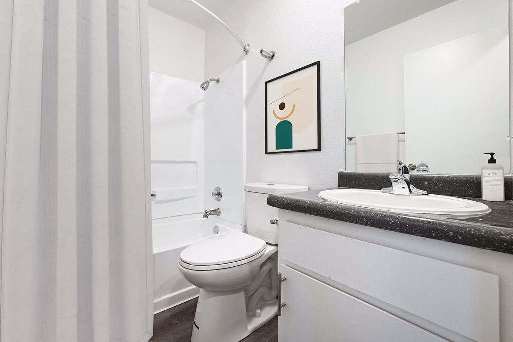 a bathroom with a sink and a toilet and a shower