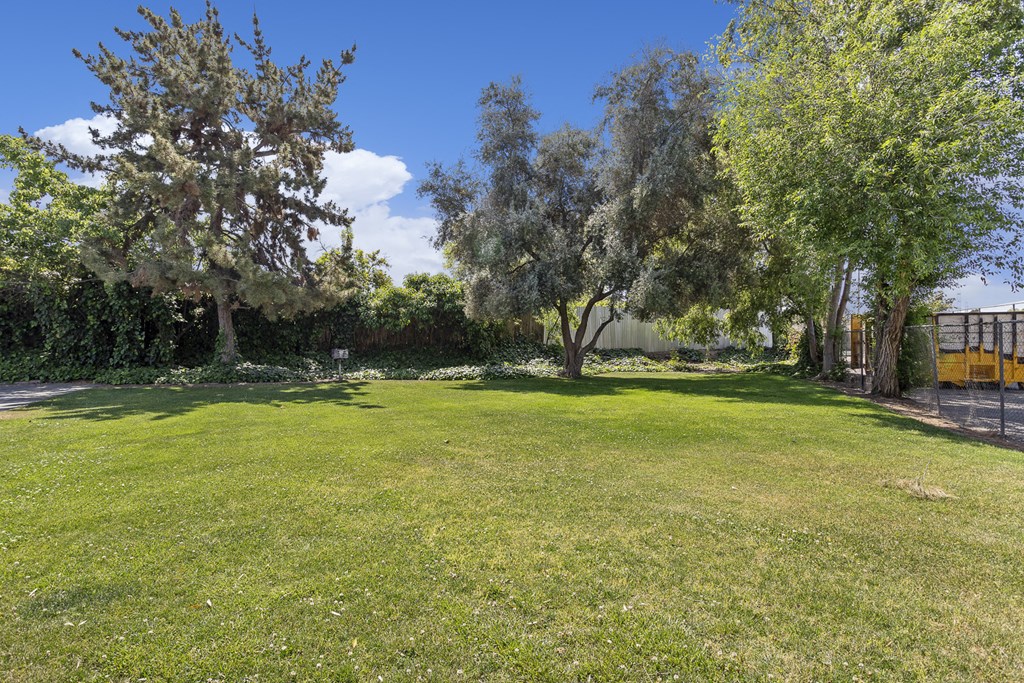 a large yard with trees and a fence